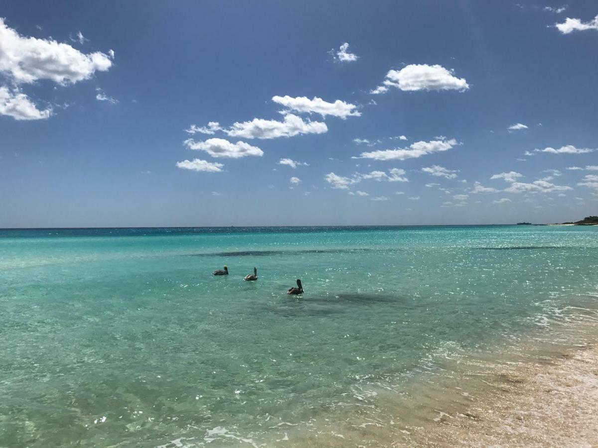 Villa Ikal Playa del Carmen Kültér fotó